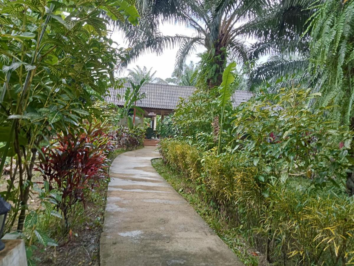 Khao Sok Palm Garden Resort Khao Sok National Park Extérieur photo