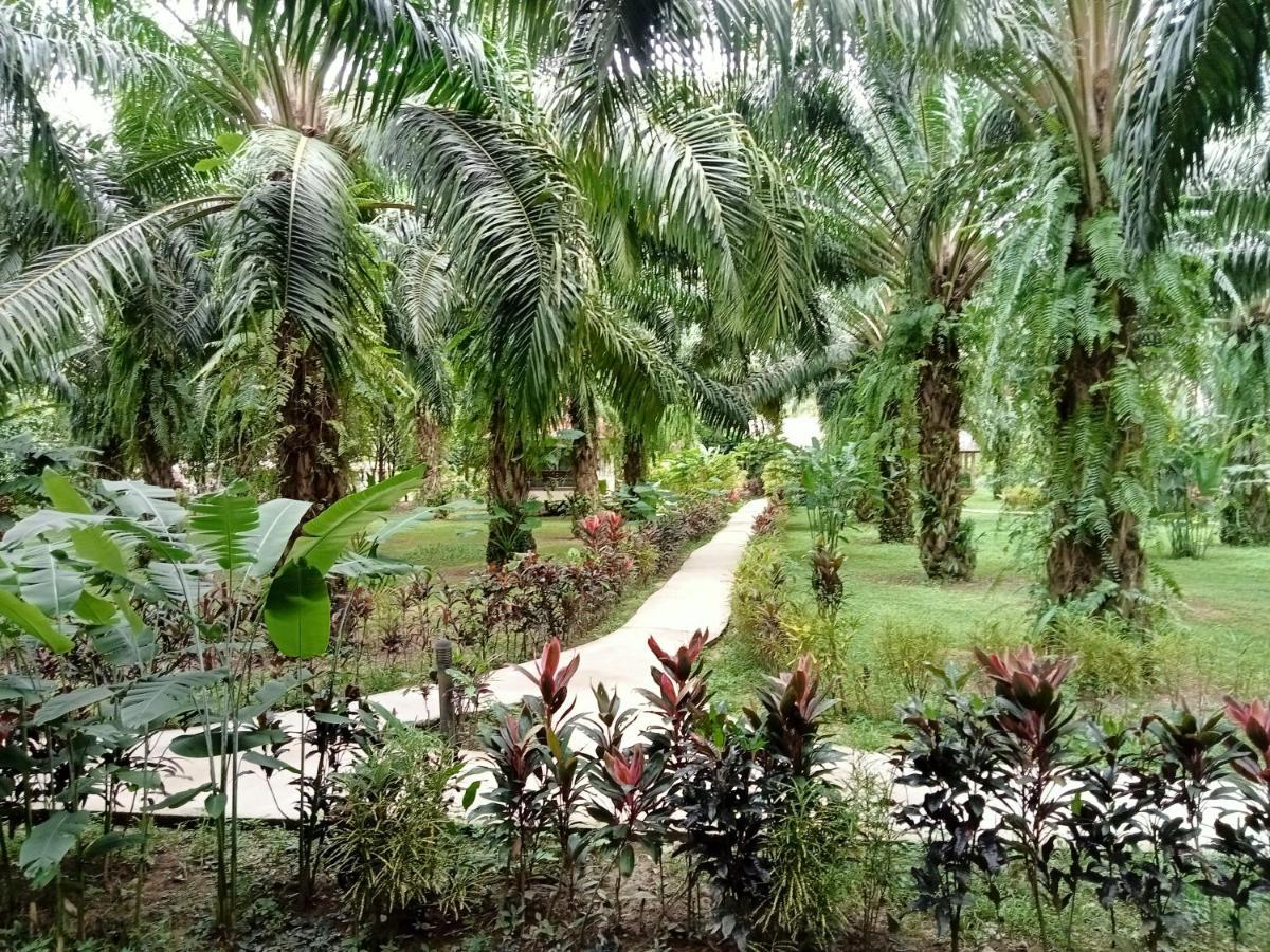 Khao Sok Palm Garden Resort Khao Sok National Park Extérieur photo