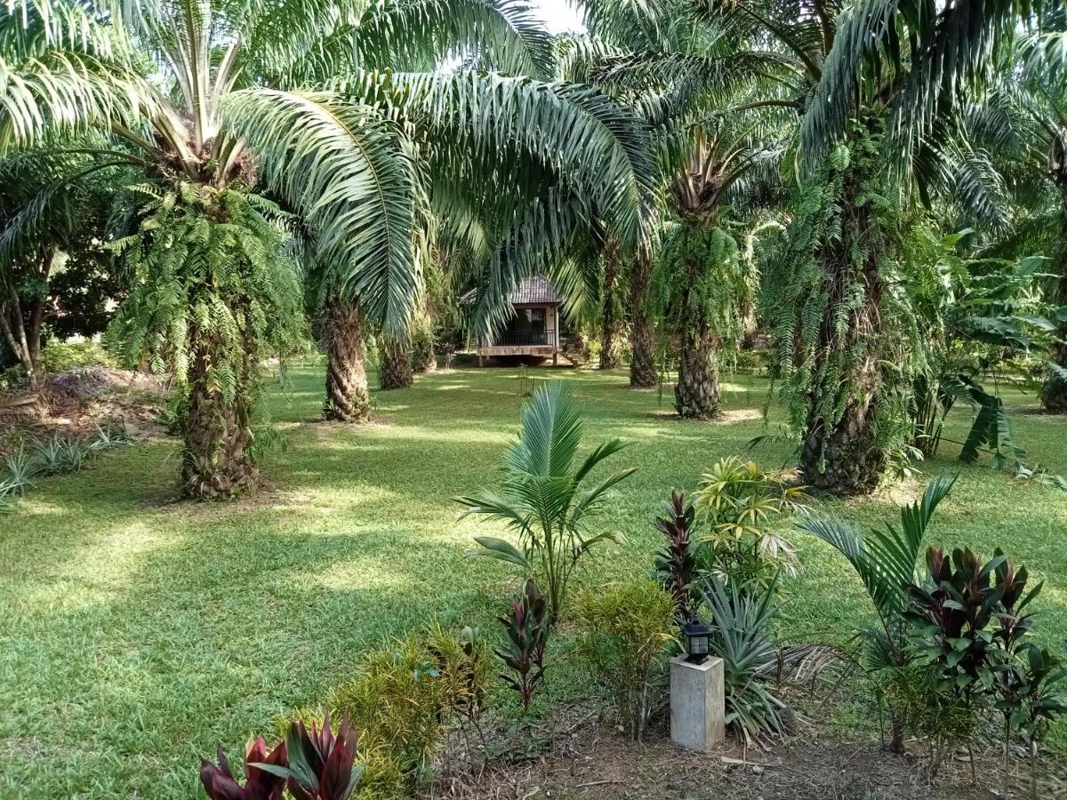 Khao Sok Palm Garden Resort Khao Sok National Park Extérieur photo
