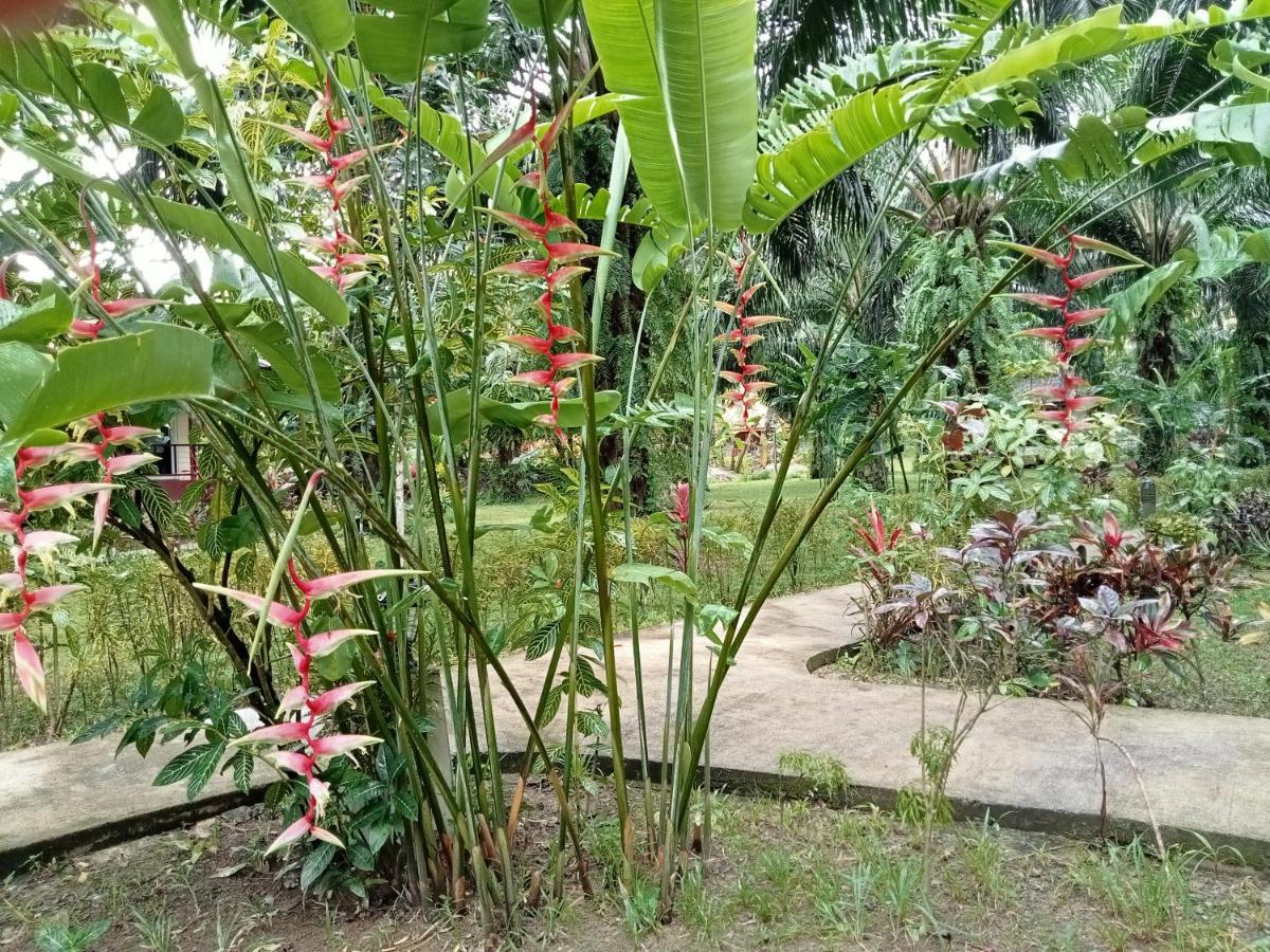 Khao Sok Palm Garden Resort Khao Sok National Park Extérieur photo
