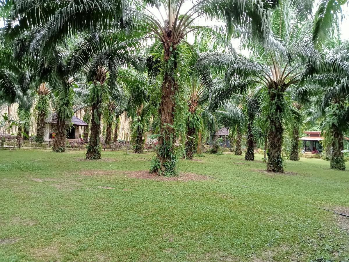 Khao Sok Palm Garden Resort Khao Sok National Park Extérieur photo