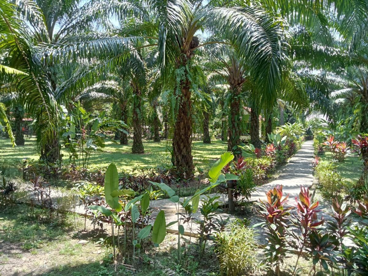 Khao Sok Palm Garden Resort Khao Sok National Park Extérieur photo