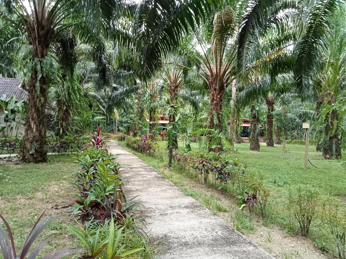 Khao Sok Palm Garden Resort Khao Sok National Park Extérieur photo