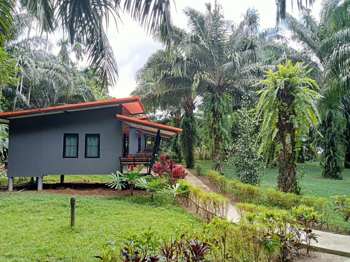 Khao Sok Palm Garden Resort Khao Sok National Park Extérieur photo