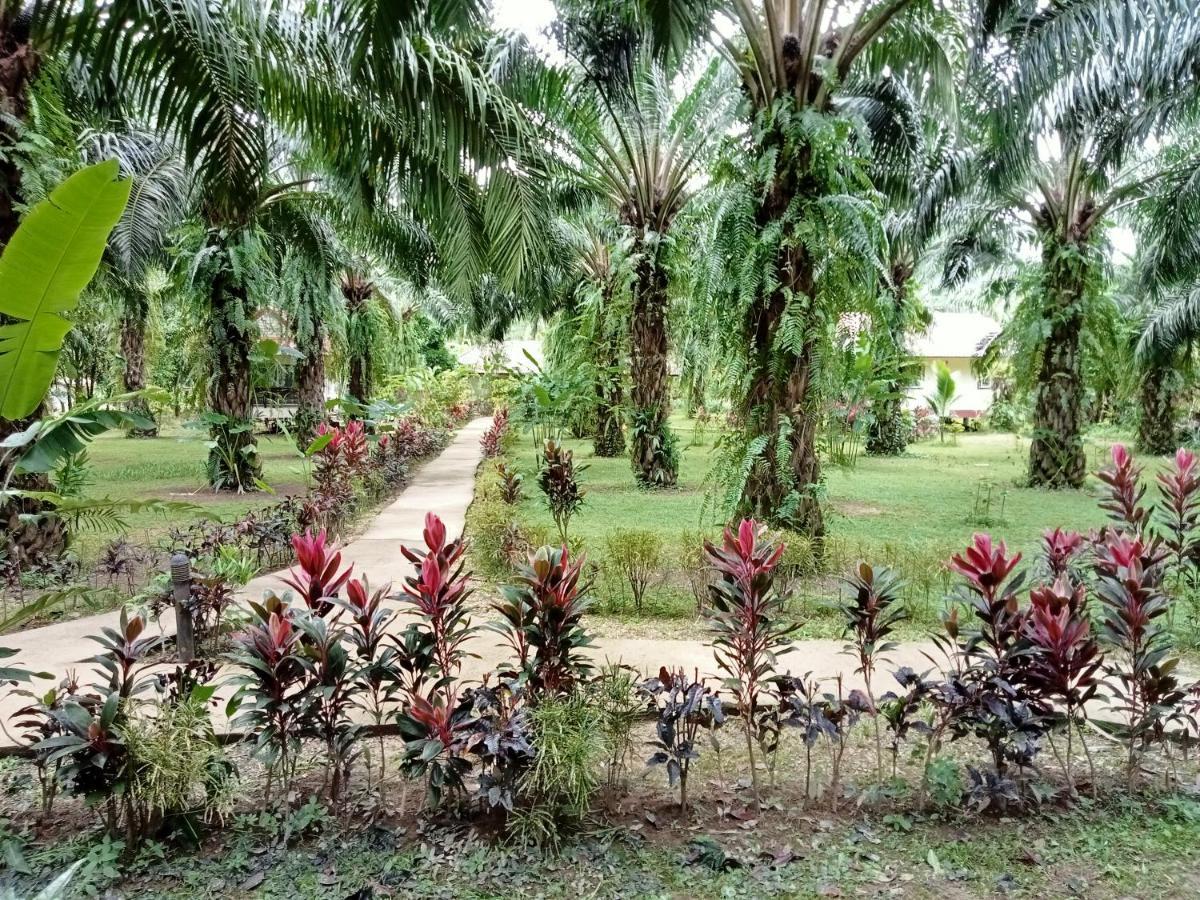 Khao Sok Palm Garden Resort Khao Sok National Park Extérieur photo