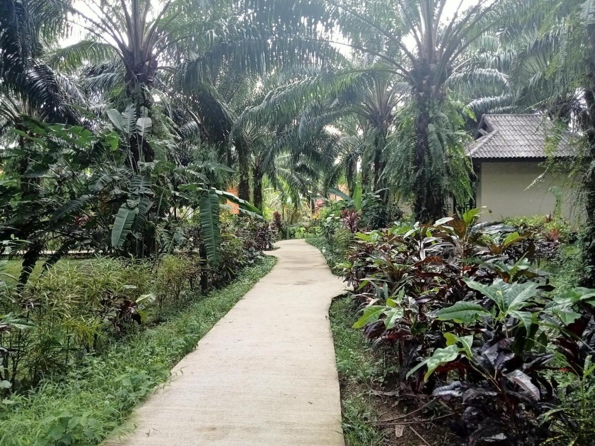 Khao Sok Palm Garden Resort Khao Sok National Park Extérieur photo