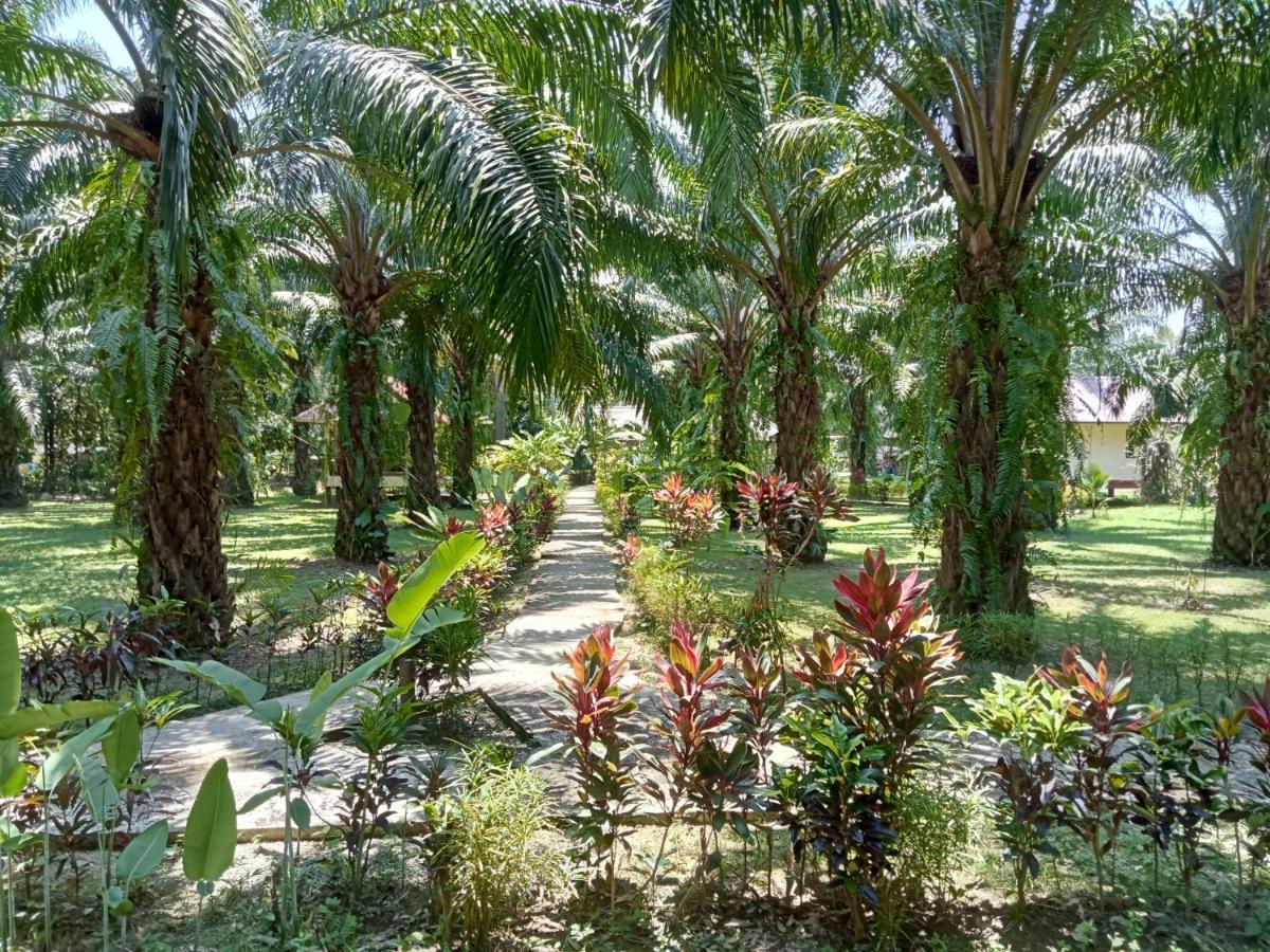 Khao Sok Palm Garden Resort Khao Sok National Park Extérieur photo