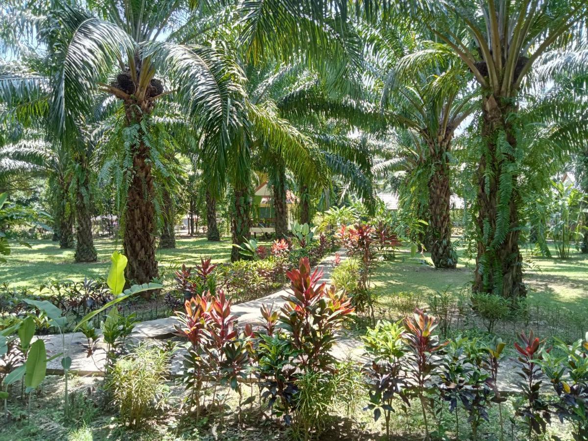 Khao Sok Palm Garden Resort Khao Sok National Park Extérieur photo