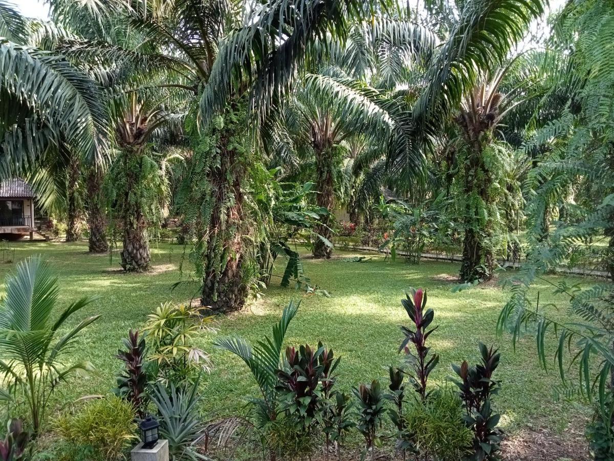 Khao Sok Palm Garden Resort Khao Sok National Park Extérieur photo